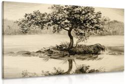 Dovido Tablou cireș oriental în design sepia - 90x60