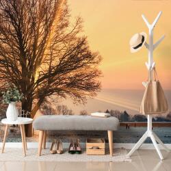 Dovido Fototapet autoadeziv cai în peisajul înzăpezit - 245x270