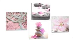 Dovido Set tablouri Feng Shui în design delicat - 4x 60x60