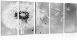 Dovido Tablou 5-piese păpădie magică în design alb-negru - 100x50