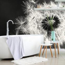 Dovido Fototapet autoadeziv detaliu păpădiei în alb-negru - 245x165