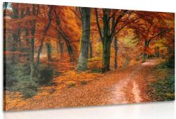 Dovido Tablou pădure în perioada de toamnă - 40x30