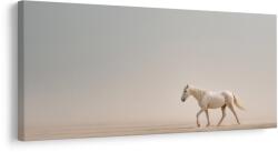 Dovido Tablou cal liniștit pe nisip - 120x60