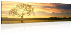 Dovido Tablou copacul singuratic - 90x30
