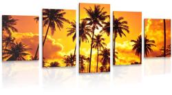 Dovido Tablou 5-piese palmieri de cocos pe plajă - 150x75