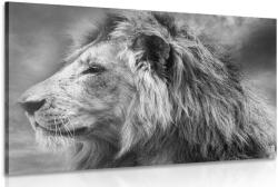 Dovido Tablou leu african în design alb-negru - 150x100