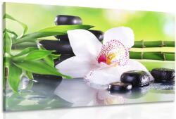 Dovido Tablou orhidee japoneză - 40x30
