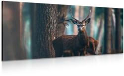 Dovido Tablou cerb în pădure - 80x40