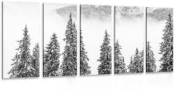 Dovido Tablou 5-piese copaci pini înzăpeziți în design alb-negru - 100x50