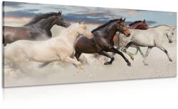 Dovido Tablou turmă de cai - 60x30