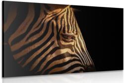 Dovido Tablou portretul zebrei - 30x20