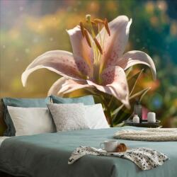 Dovido Tapet autoadeziv floare frumoasă cu atingere retro - 98x66