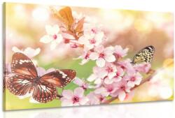 Dovido Tablou florile de primăvară cu fluturi exotici - 120x80