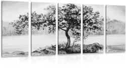 Dovido Tablou 5-piese cireș oriental în design alb-negru - 100x50