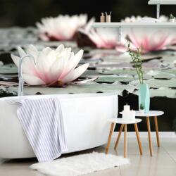 Dovido Fototapet floare de lotus - 539x363