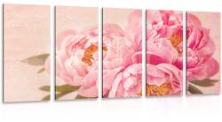 Dovido Tablou 5-piese bujorul delicat - 200x100