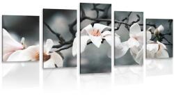 Dovido Tablou 5-piese trezirea magnoliei - 100x50