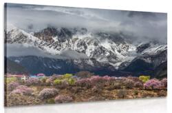 Dovido Tablou natură muntoasă fascinantă - 120x80
