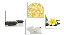 Dovido Set tablouri natura moartă delicată Feng Shui - 4x 40x40