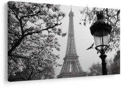 Dovido Tablou paris în ceața iernii - 150x100