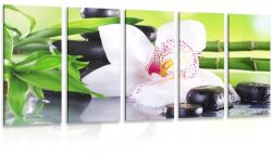 Dovido Tablou 5-piese orhidee japoneză - 100x50