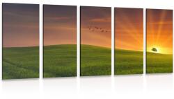 Dovido Tablou 5-piese copac pe luncă - 150x75