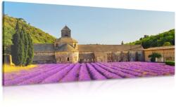 Dovido Tablou Provence cu câmpuri de lavandă - 200x100