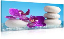 Dovido Tablou wellness natura moartă - 200x100