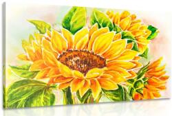 Dovido Tablou floarea soarelui - 60x40