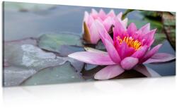 Dovido Tablou floare de lotus roz - 60x30