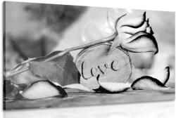 Dovido Tablou mărturisire romantică în design alb-negru Love - 40x30