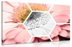 Dovido Tablou gerbera în hexagon - 120x80