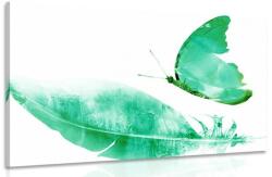 Dovido Tablou pană și fluture verde - 60x40