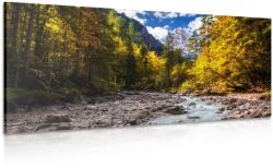 Dovido Tablou peisaj carpatin pitoresc - 140x70