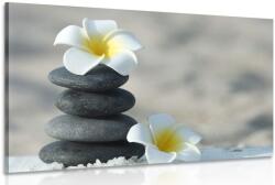 Dovido Tablou pietre armonice și floare plumeria - 120x80