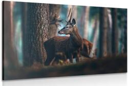 Dovido Tablou cerbul în pădure de pini - 90x60