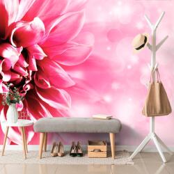 Dovido Tapet autoadeziv floare roz - 392x264