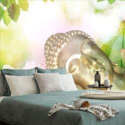 Dovido Tapet Buddha adormit - 147x99