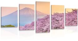 Dovido Tablou 5-piese Japonia minunată - 150x75