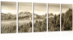 Dovido Tablou 5-piese munții înghețați în design sepia - 100x50
