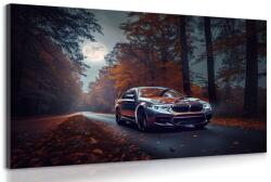 Dovido Tablou BMW în lună plină - 120x80