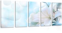 Dovido Tablou 5-piese floare albă de crin pe fundalul abstract - 150x75