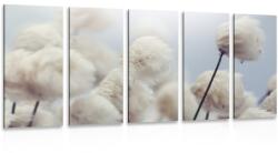 Dovido Tablou 5-piese flori de bumbac arctice - 150x75
