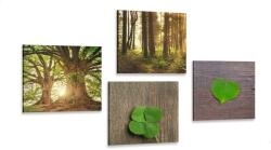 Dovido Set tablouri briza naturii - 4x 40x40
