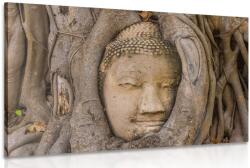 Dovido Tablu Budha și smochinul sacru - 30x20