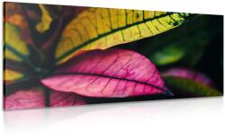 Dovido Tablou frunze rumede - 200x100