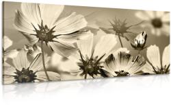 Dovido Tablou flori de grădină în design sepia - 100x50