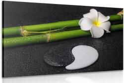 Dovido Tablou Spa natura moartă și pietre Yin și Yang - 60x40