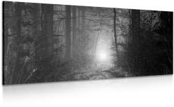 Dovido Tablou lumina în pădure în design alb-negru - 100x50
