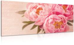 Dovido Tablou bujor blând - 80x40